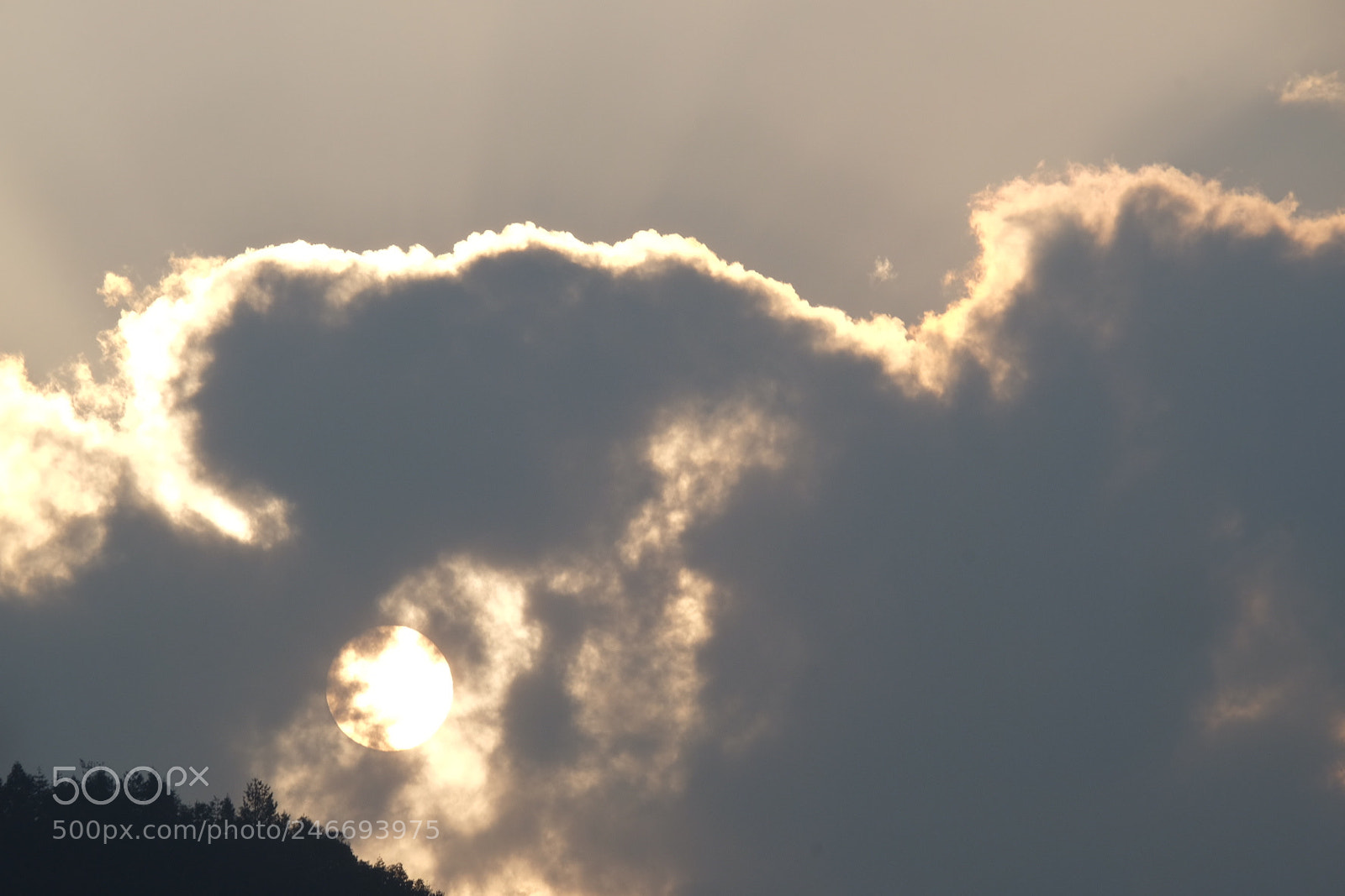 Fujifilm X-T10 sample photo. Untitled photography