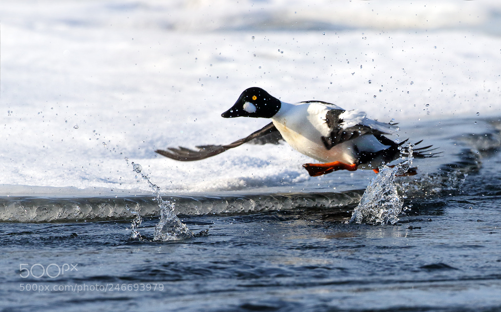 Canon EOS 7D Mark II sample photo. Water sculpting photography