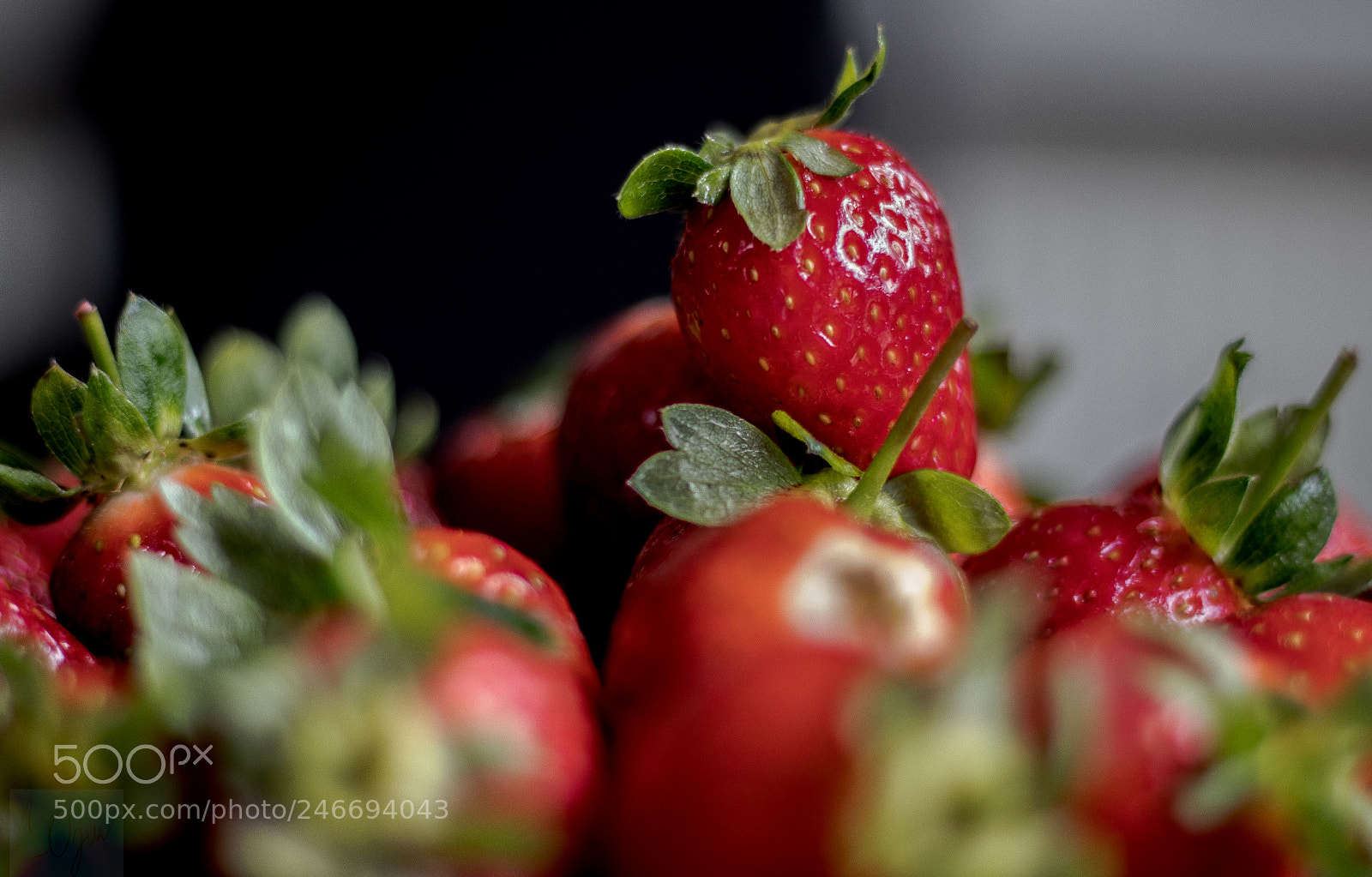Canon EOS 800D (EOS Rebel T7i / EOS Kiss X9i) sample photo. Strawberry photography