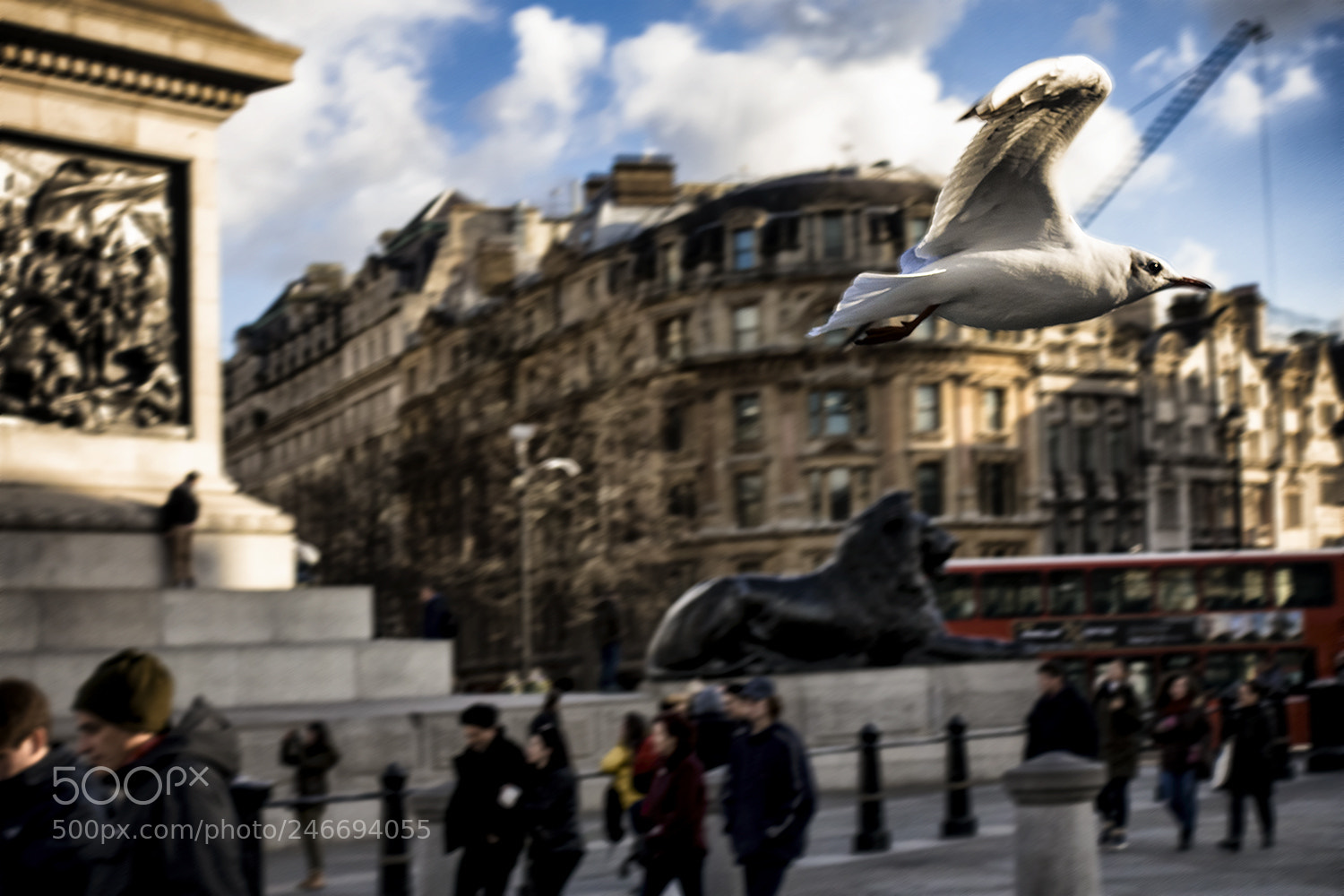 Sony Cyber-shot DSC-RX100 IV sample photo. Seagull photography