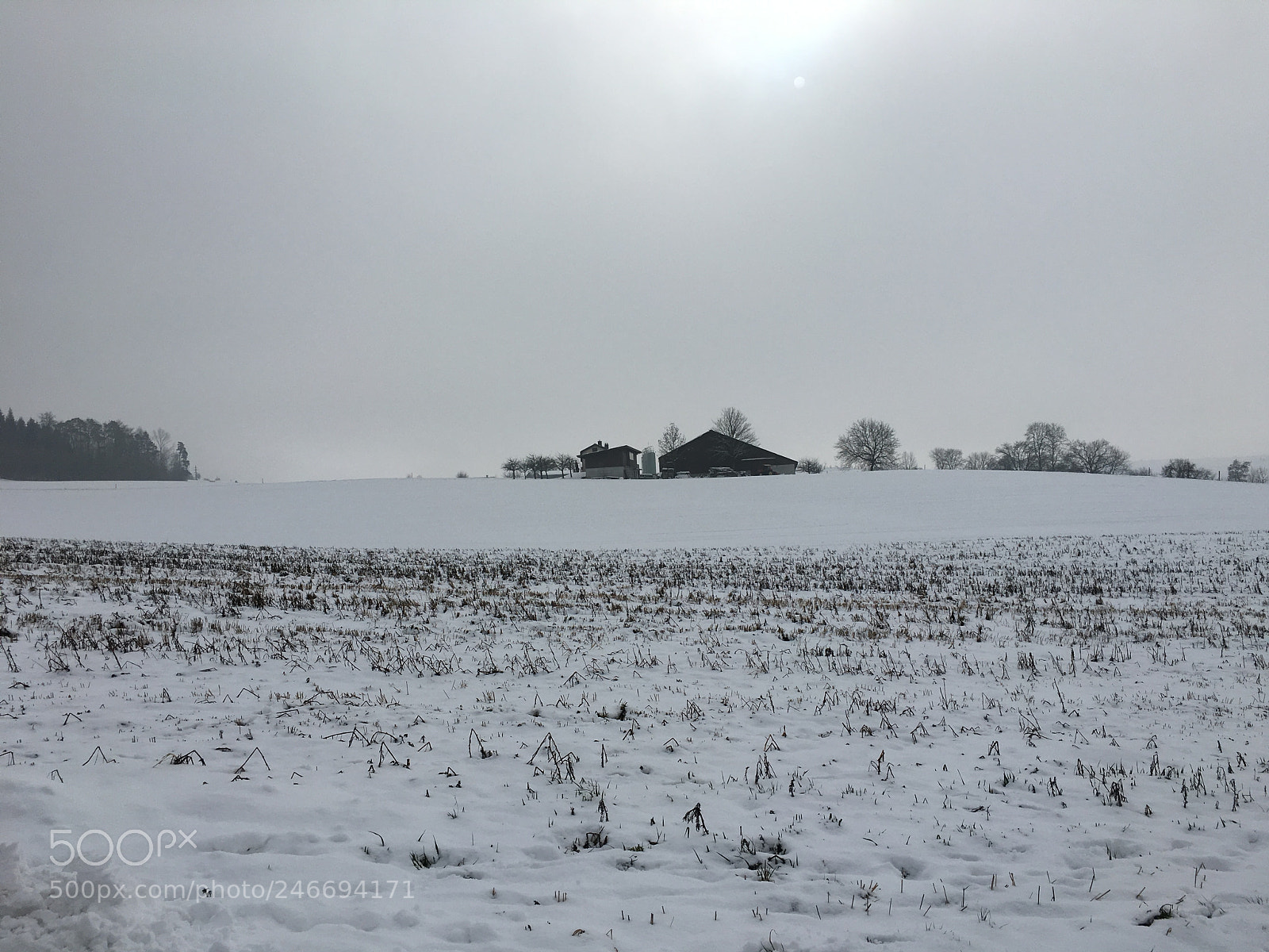 Apple iPhone 6s sample photo. Organic farm in biel photography