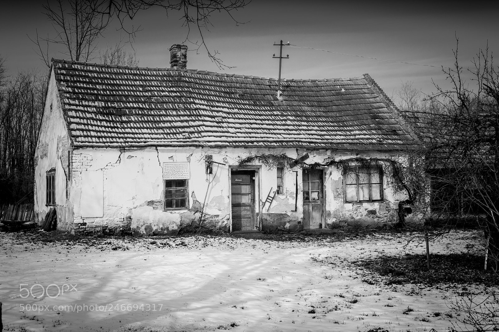 Nikon D5200 sample photo. Untitled photography