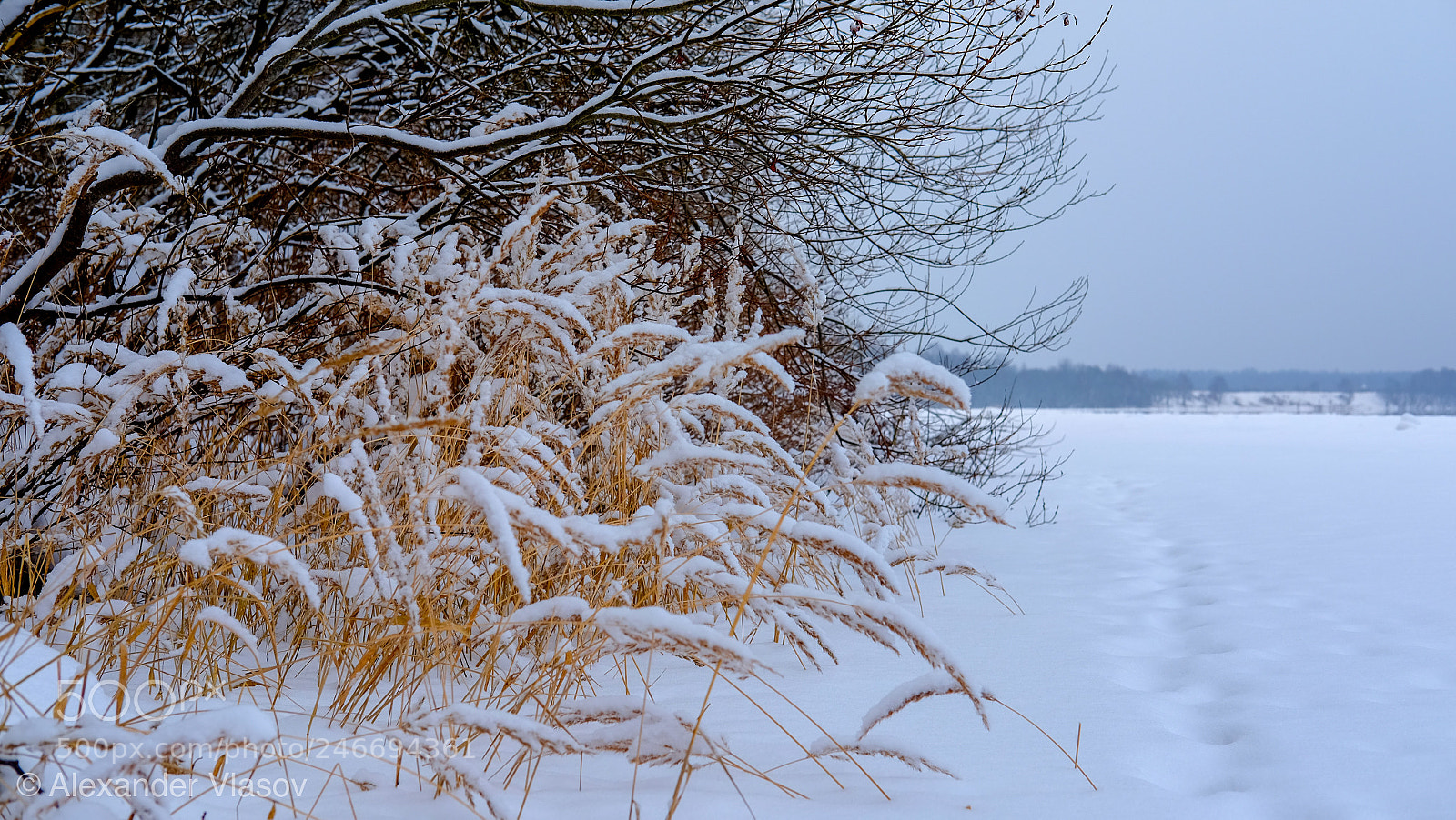 Fujifilm X-T10 sample photo. Зимний берег, река Нева photography