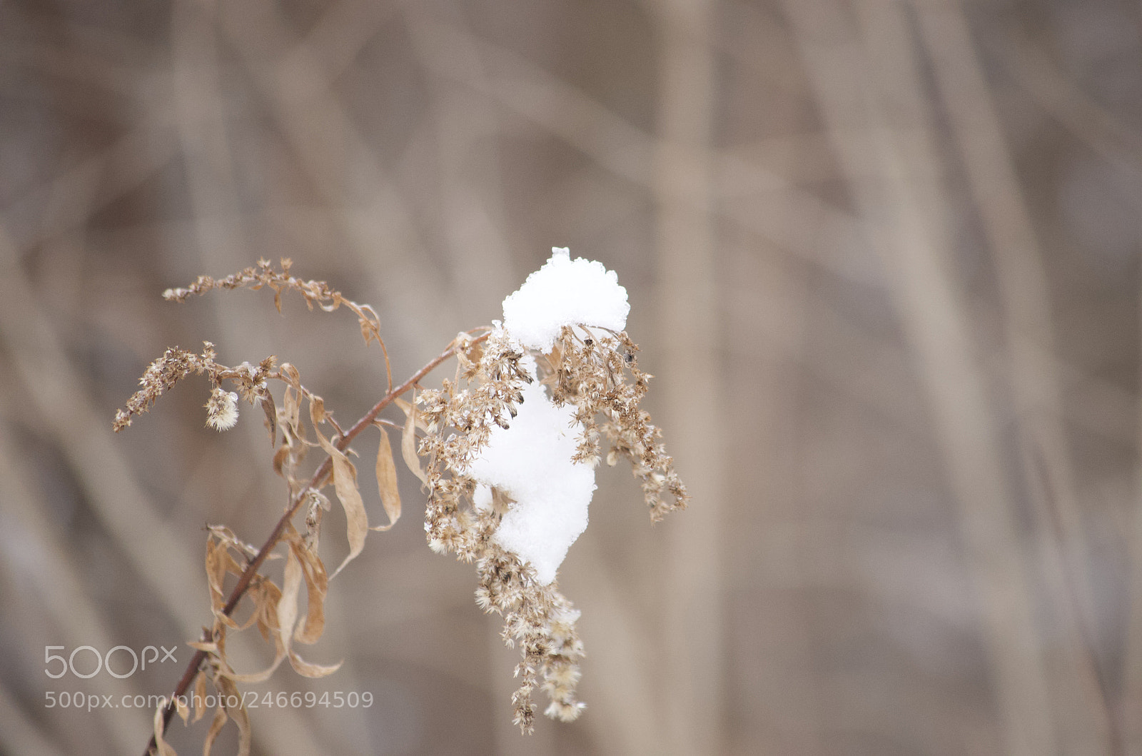 Nikon D5100 sample photo. Dirty photography