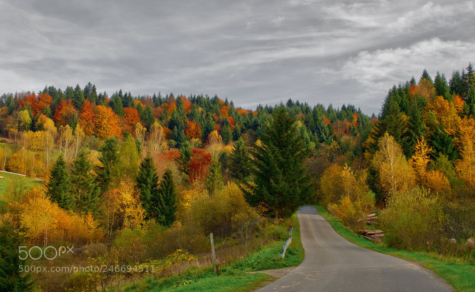 Olympus OM-D E-M5 II sample photo. Autumn turn photography