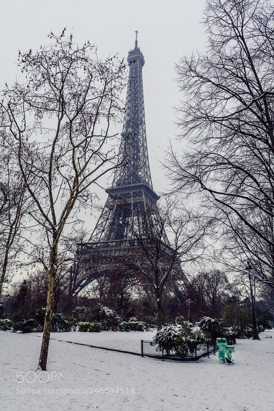 Nikon D7100 sample photo. Paris sous la neige photography