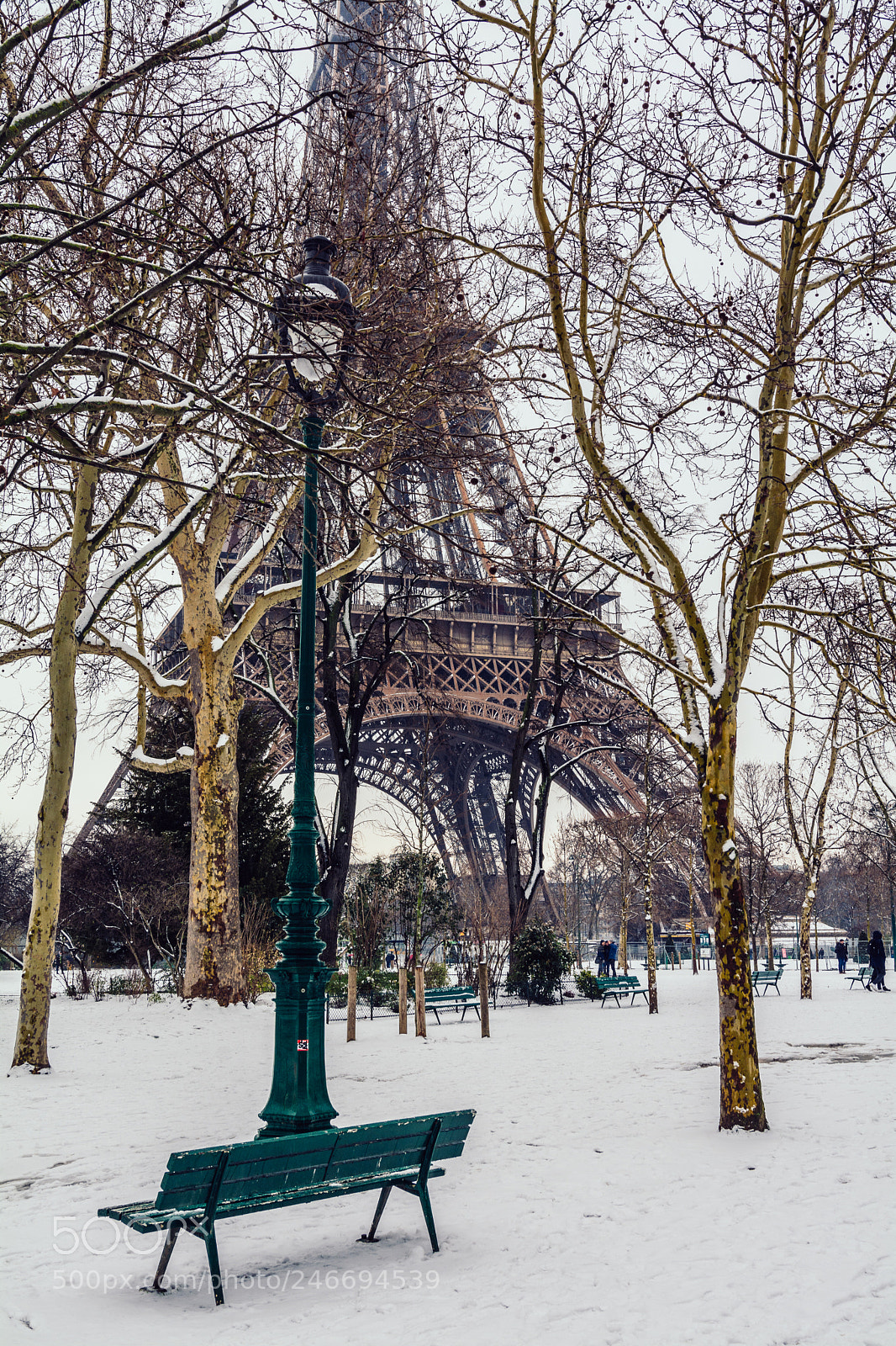 Nikon D7100 sample photo. Paris sous la neige photography