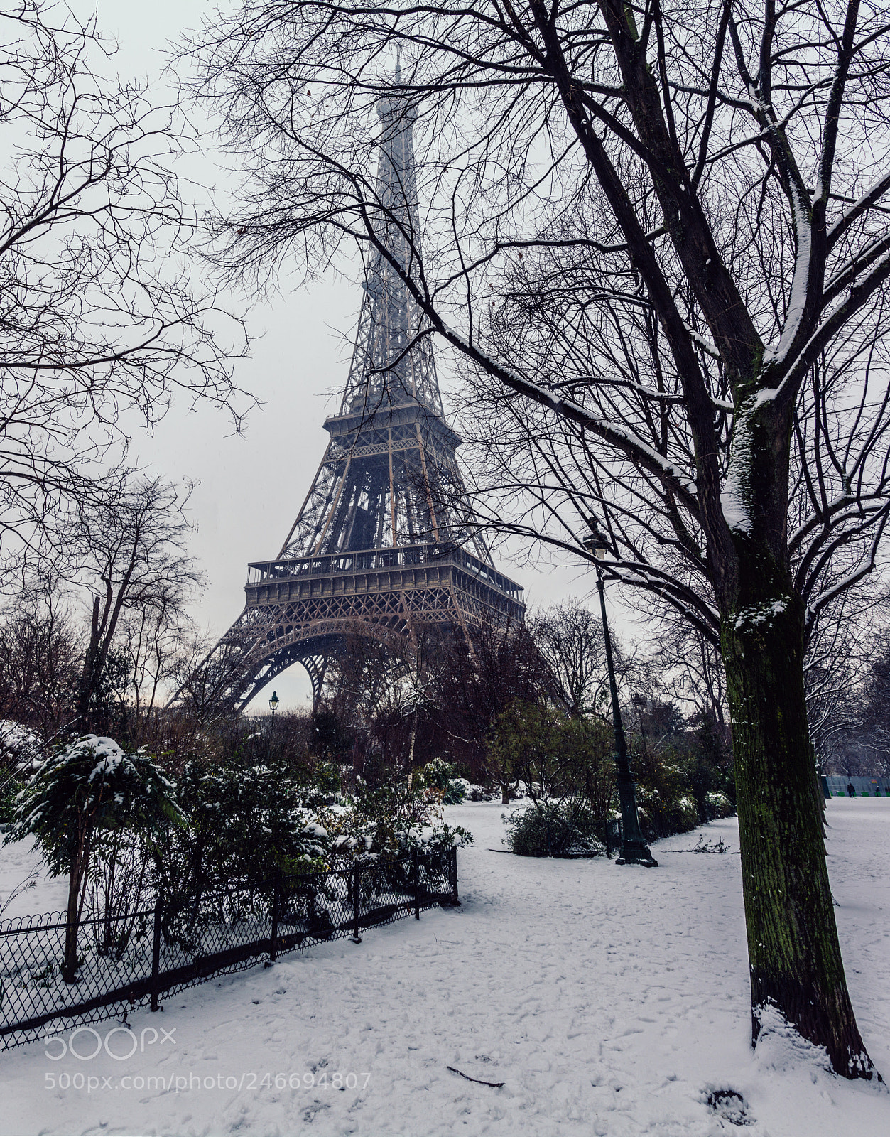 Nikon D7100 sample photo. La tour eiffel vertical photography