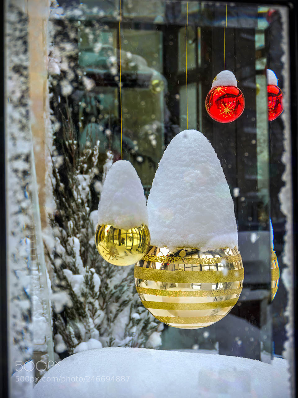 Olympus OM-D E-M5 sample photo. After the snowfall photography