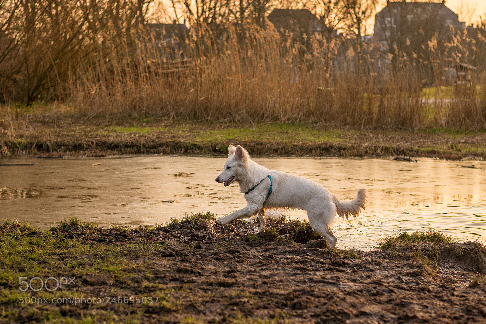 Nikon D610 sample photo. The explorer photography