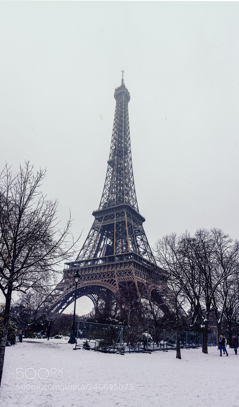 Nikon D7100 sample photo. La tour eiffel vertical photography