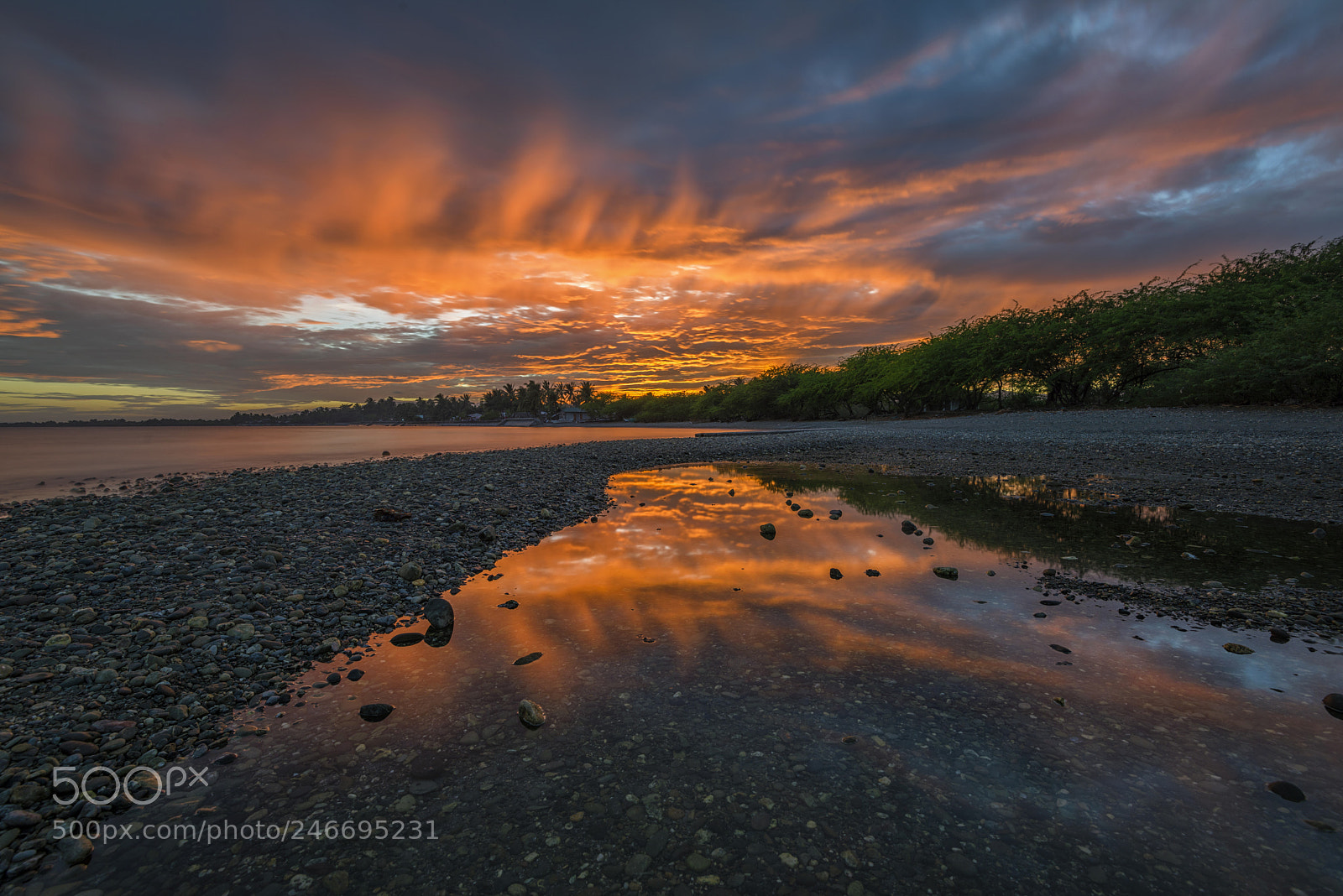 Nikon D800 sample photo. Fiery sunset 1.2 photography