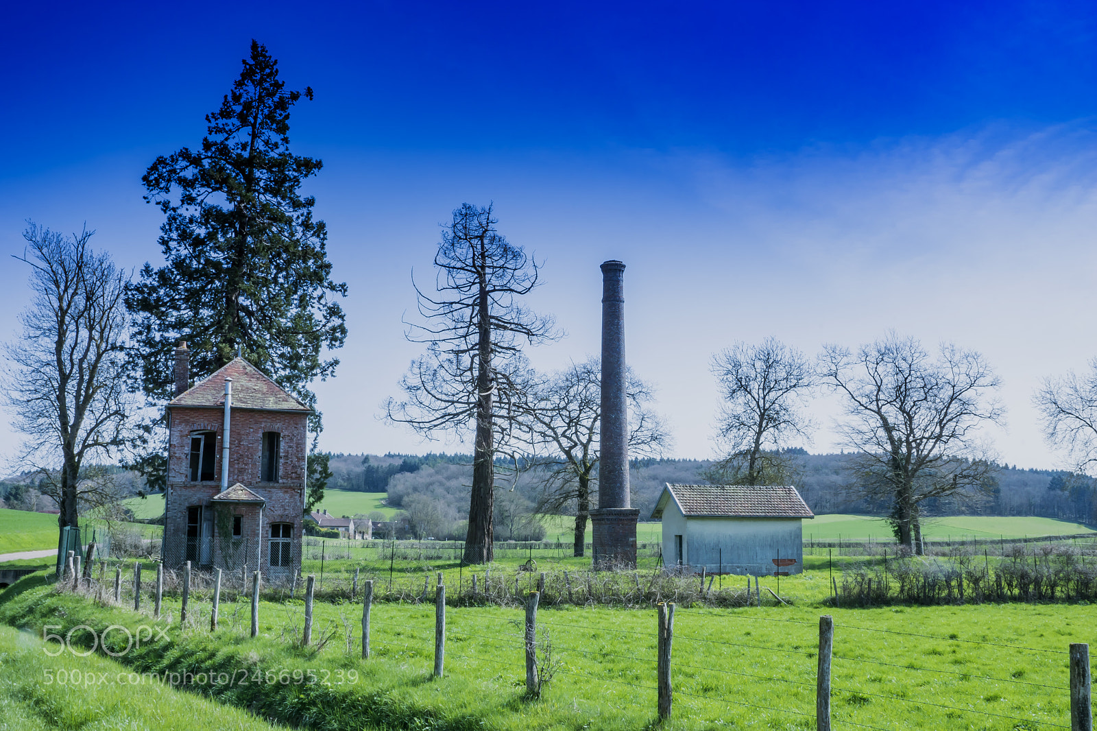 Sony ILCA-77M2 sample photo. The return photography