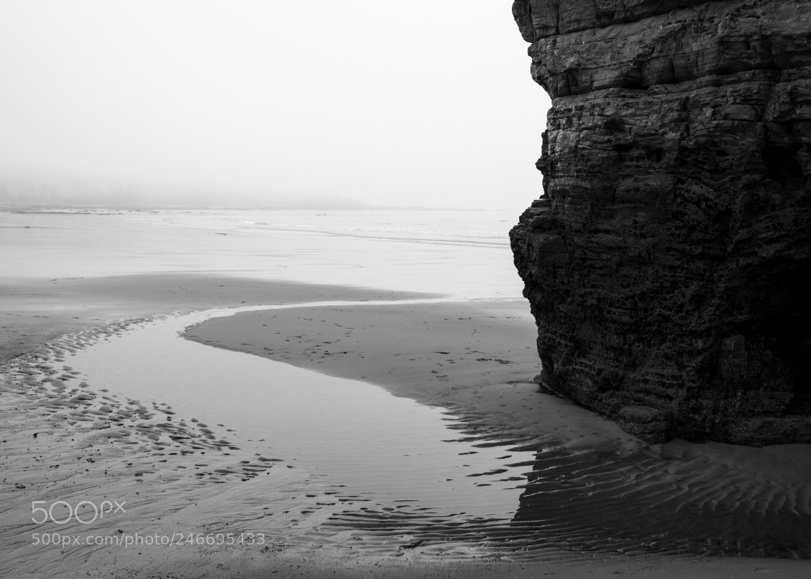 Fujifilm GFX 50S sample photo. Cold, misty morning iii photography