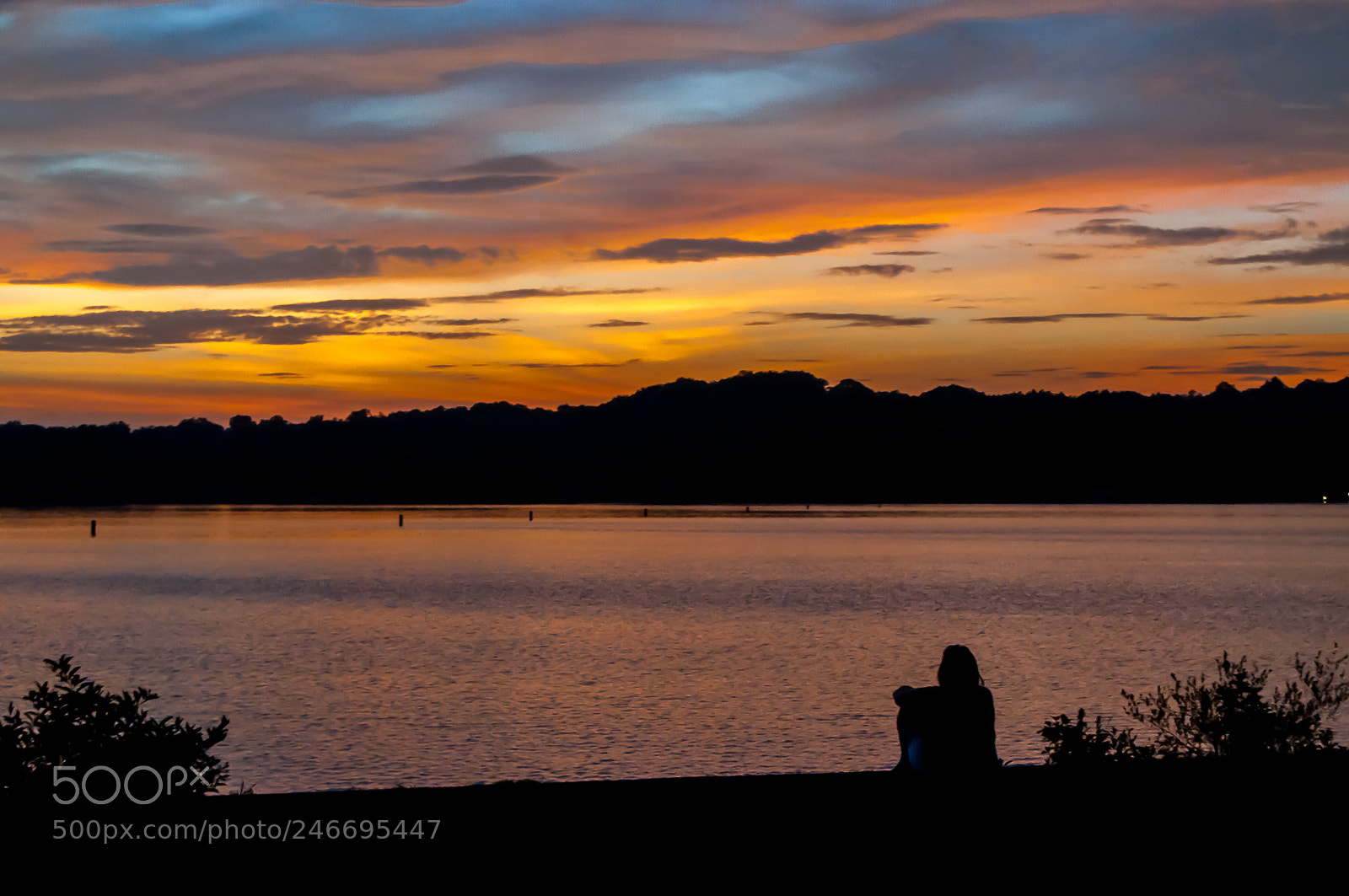Nikon D90 sample photo. Lonely sunset photography