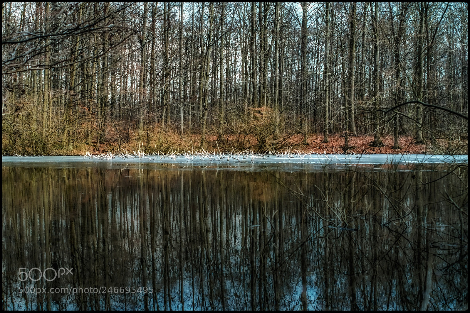Fujifilm X-T1 sample photo. Nature mirror photography