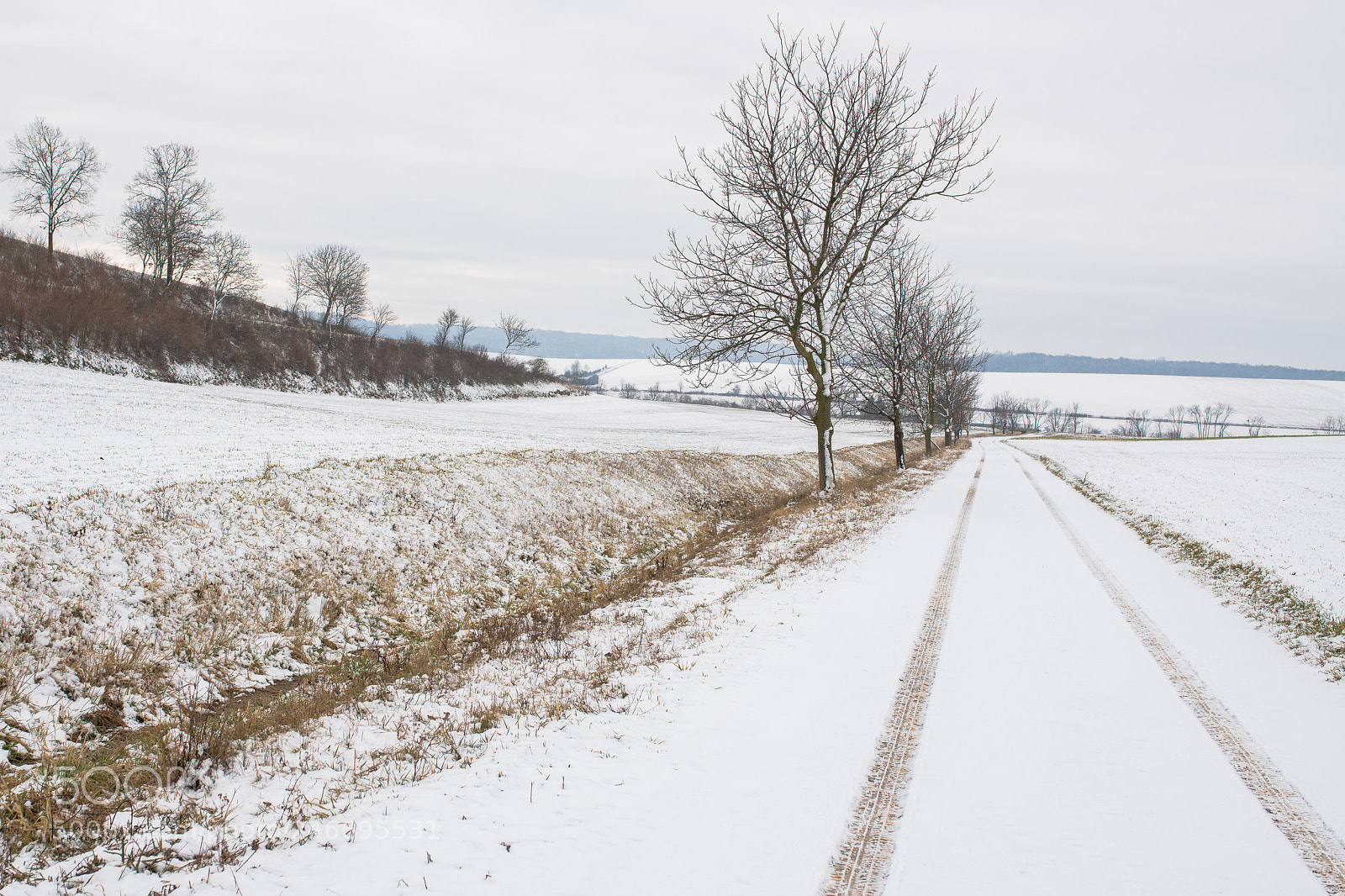 Nikon D850 sample photo. Feldweg photography