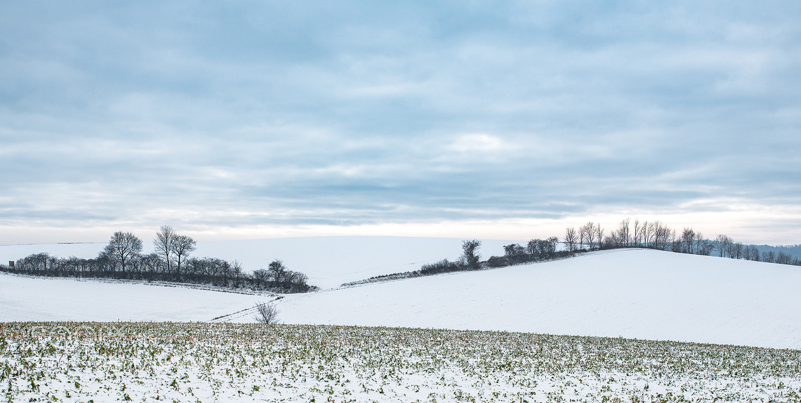 Nikon D850 sample photo. Hügelland photography
