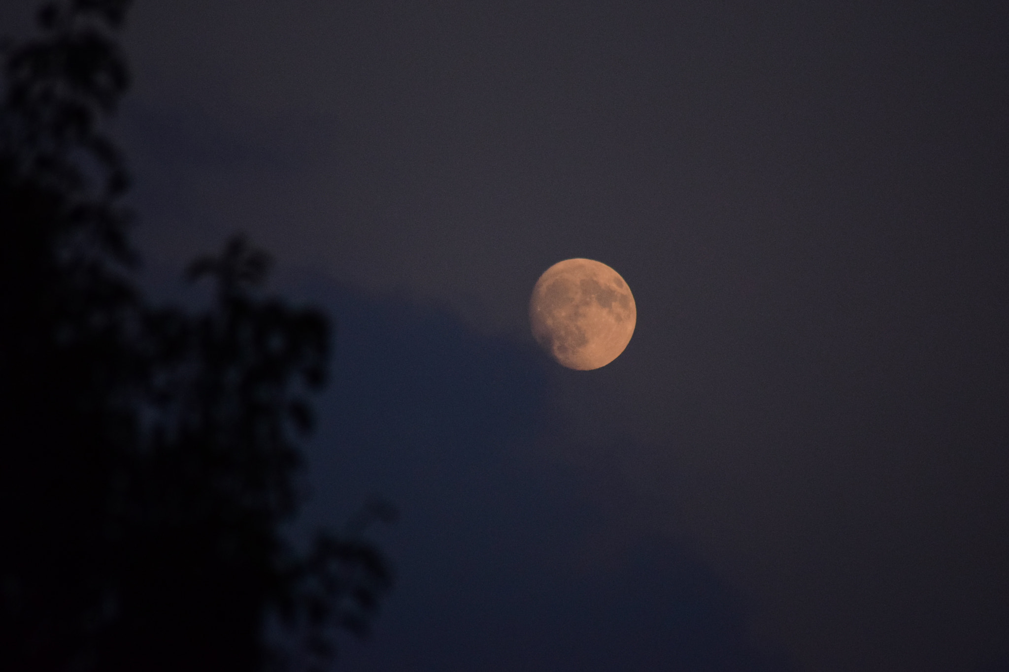 Sigma 70-300mm F4-5.6 APO DG Macro sample photo. Luna photography