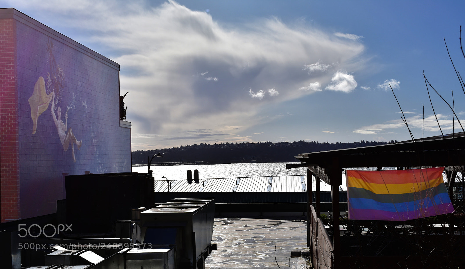 Nikon D3400 sample photo. A cold, sunny day photography