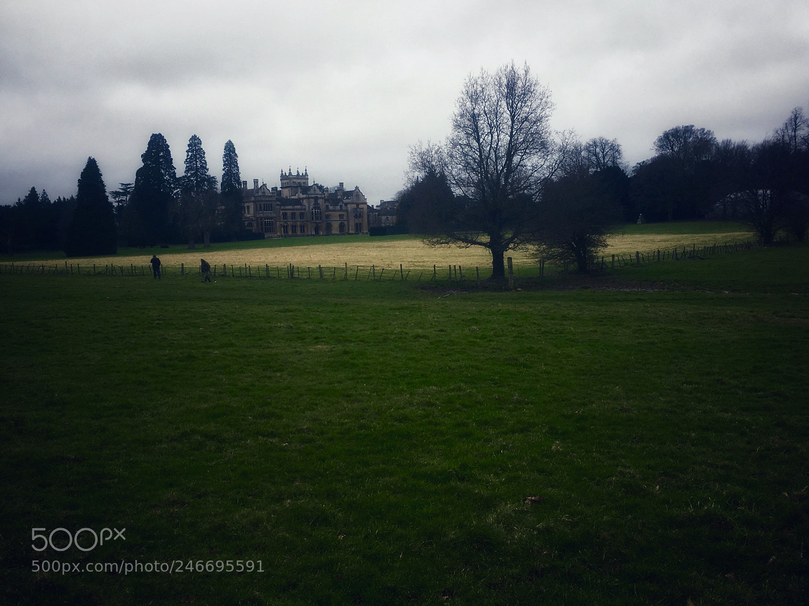 Apple iPhone SE sample photo. Gritterton manor photography