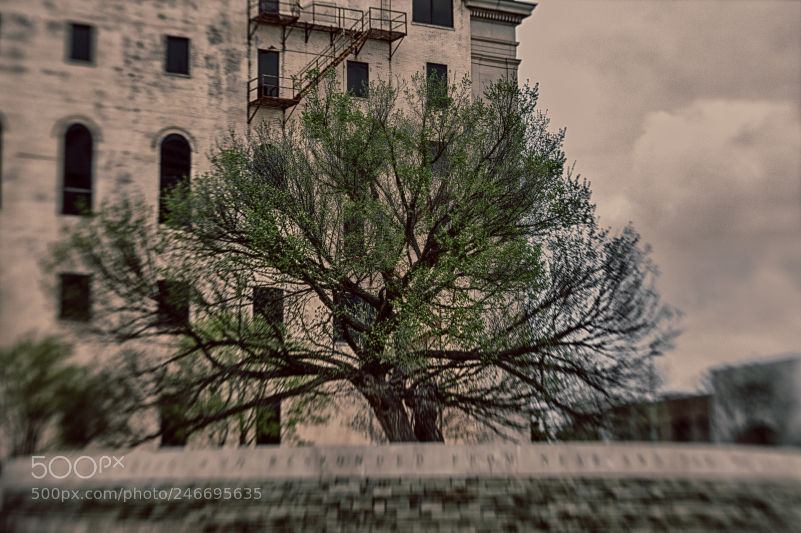 Nikon D7100 sample photo. 2930 photography