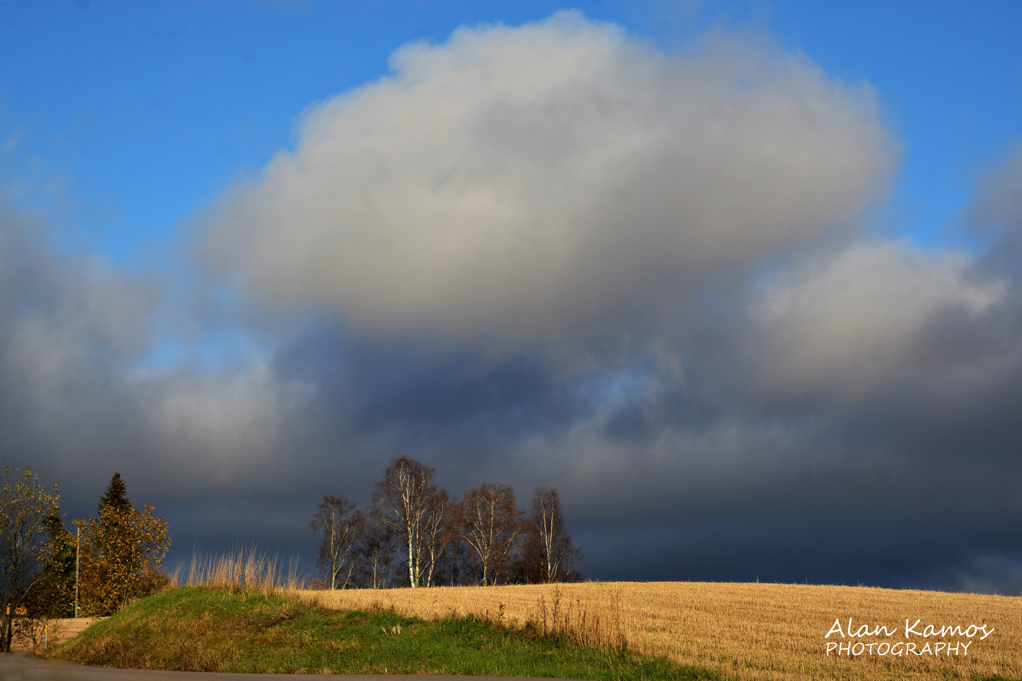 Nikon D5200 sample photo