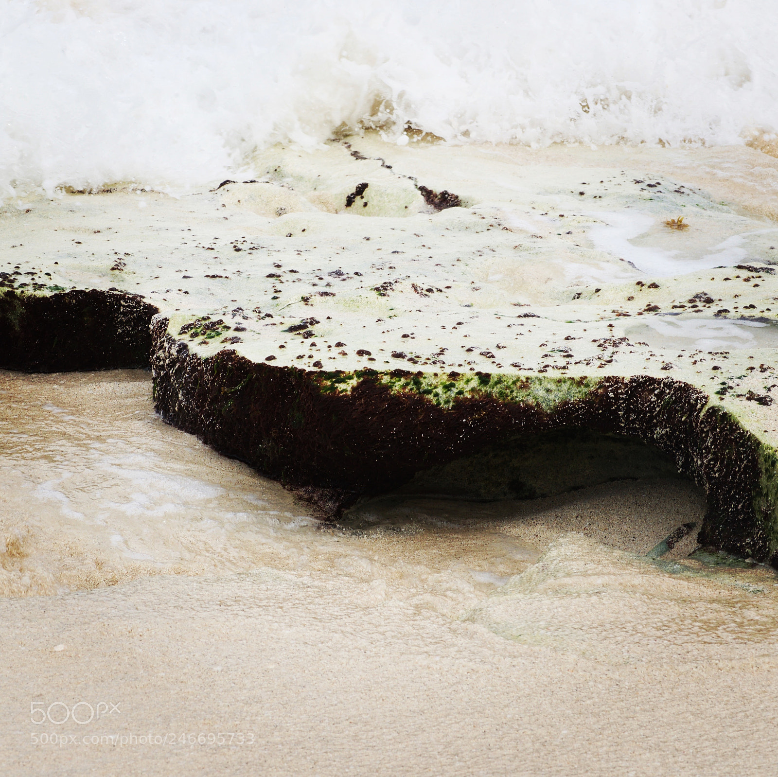 Nikon D5100 sample photo. Best photography