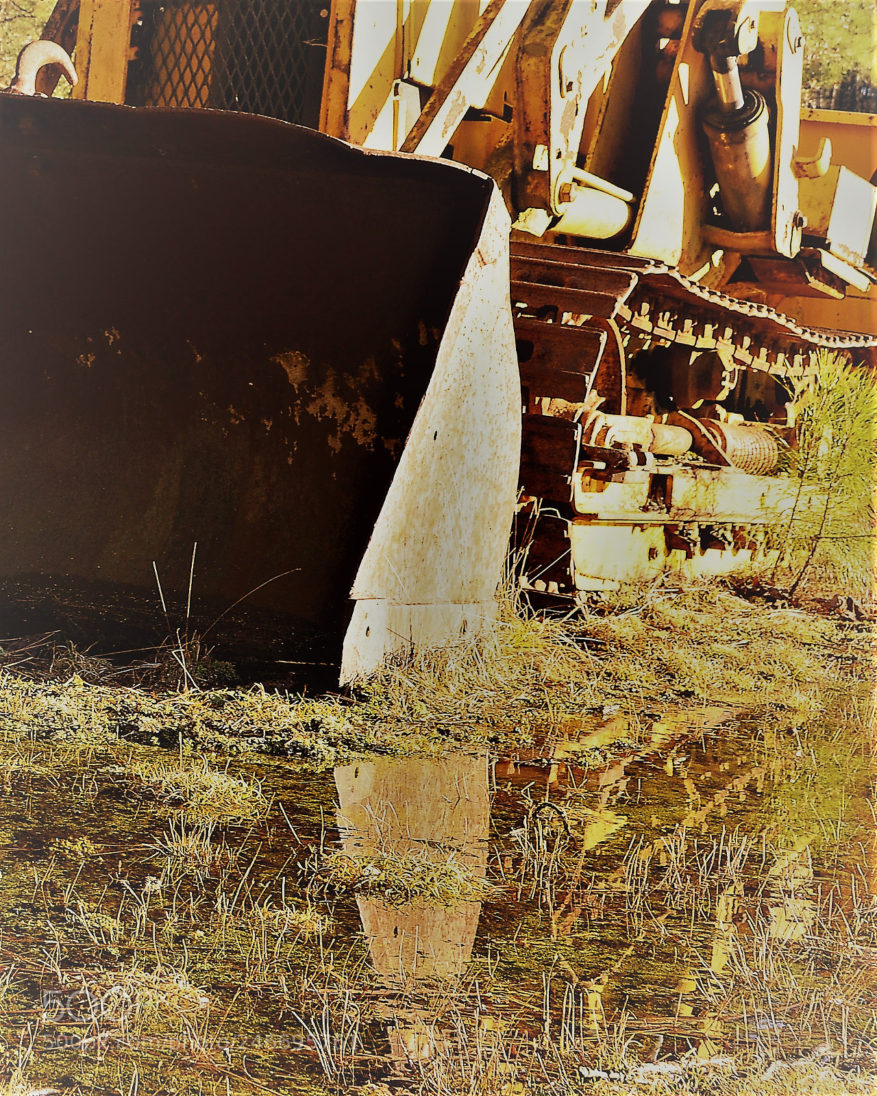 Nikon D5100 sample photo. () photography