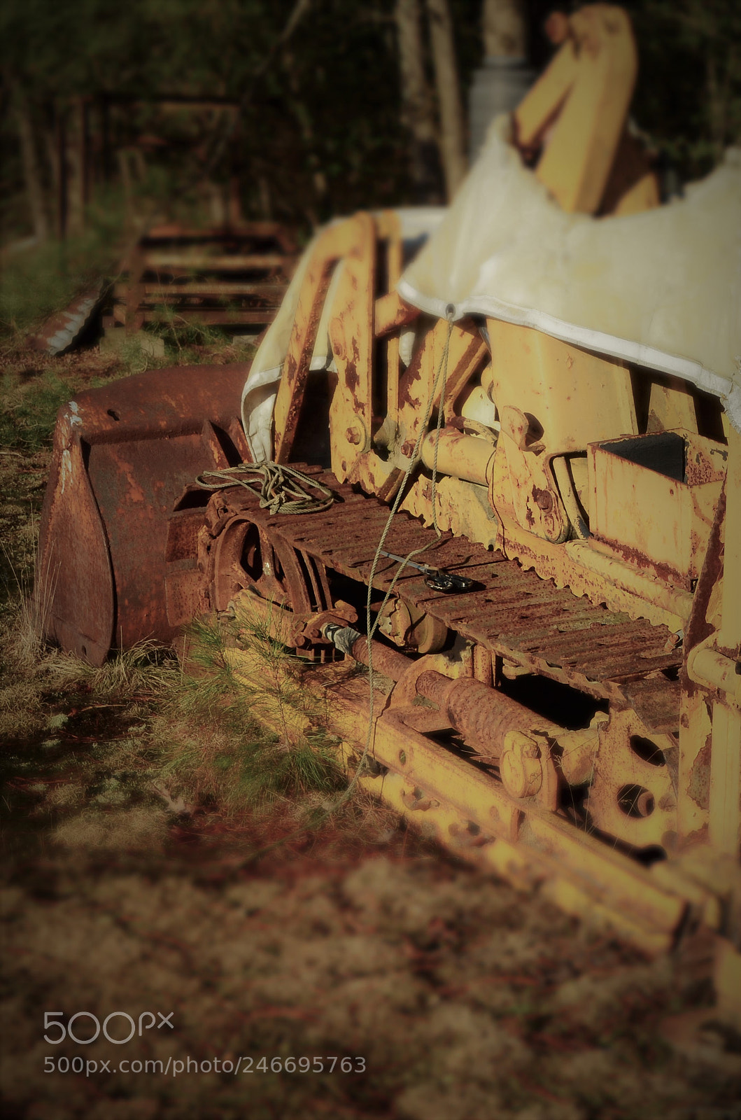 Nikon D5100 sample photo. () photography