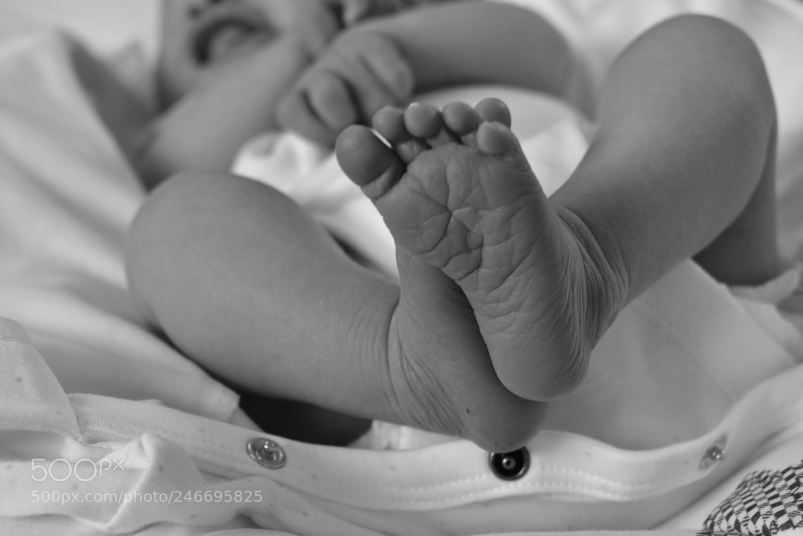 Nikon D3400 sample photo. Untitled photography