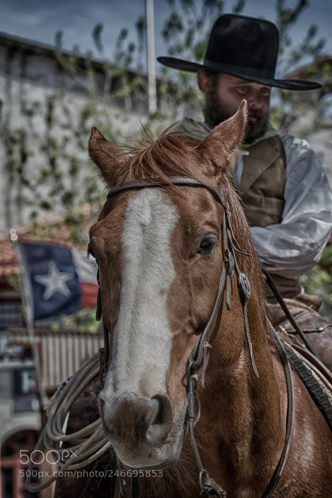 Nikon D7100 sample photo. 3287 photography
