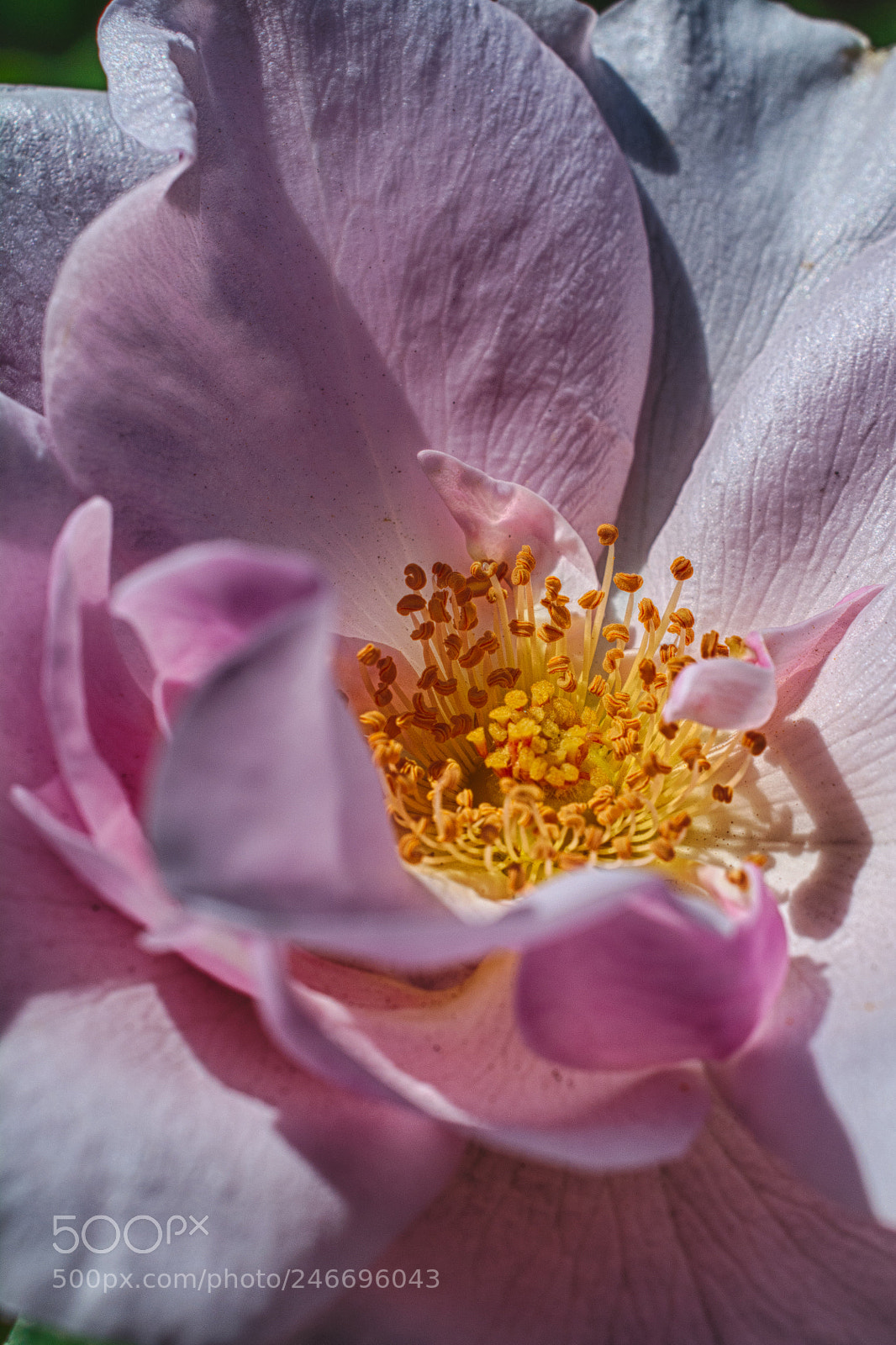 Nikon D7100 sample photo. 3428 photography
