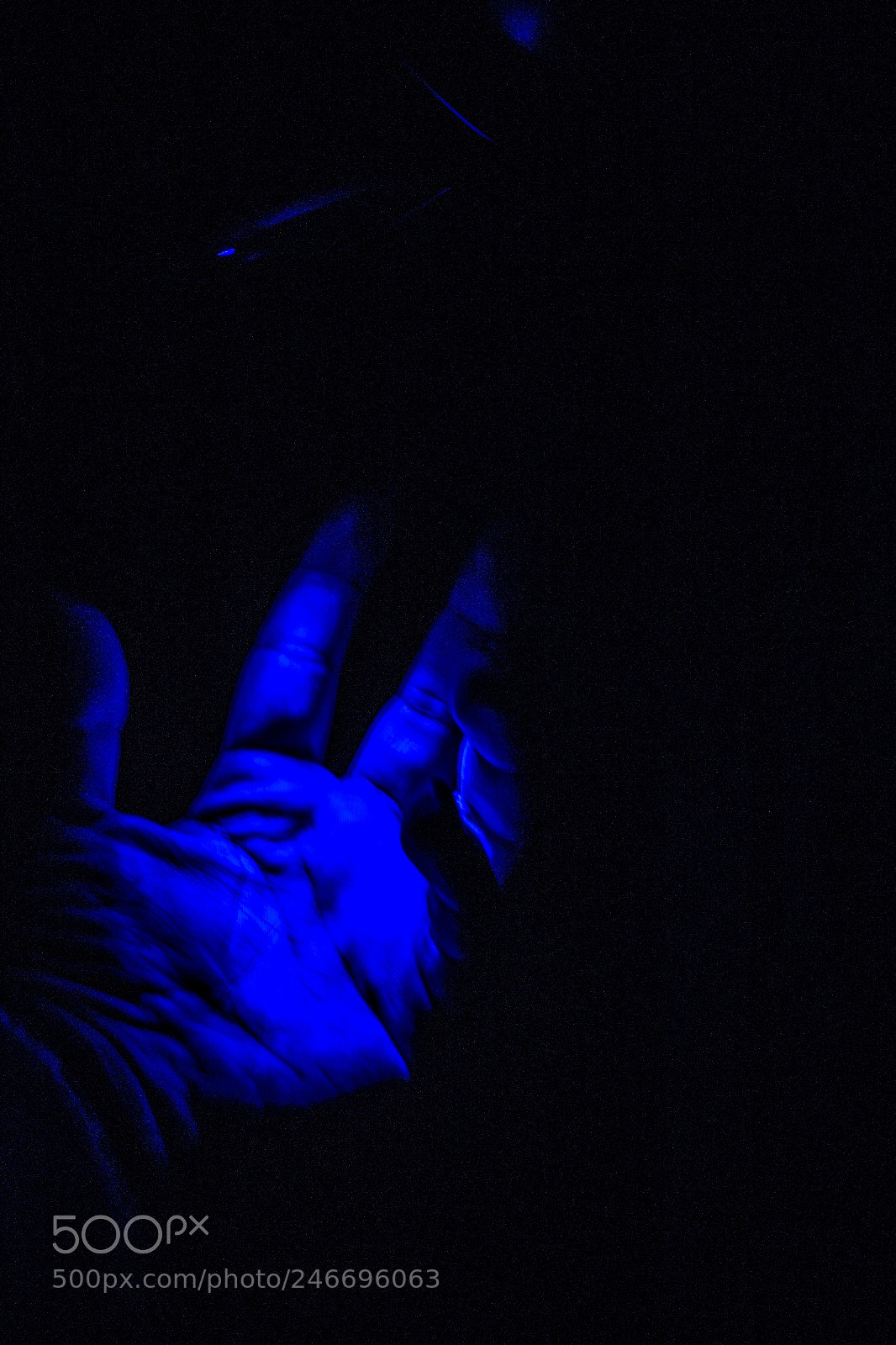 Canon EOS 1200D (EOS Rebel T5 / EOS Kiss X70 / EOS Hi) sample photo. Something blue light challege photography