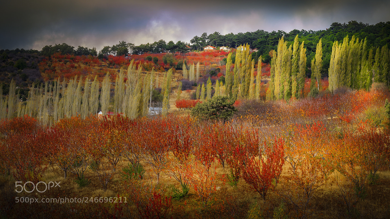 Canon EOS 7D Mark II sample photo. Manisa mountain spil photography