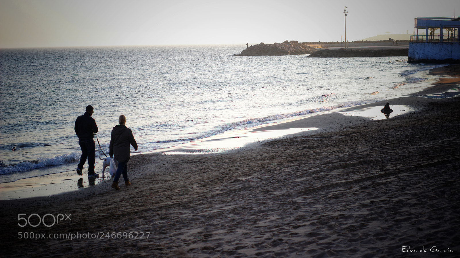 Canon EOS 600D (Rebel EOS T3i / EOS Kiss X5) sample photo. Paseando al perro photography