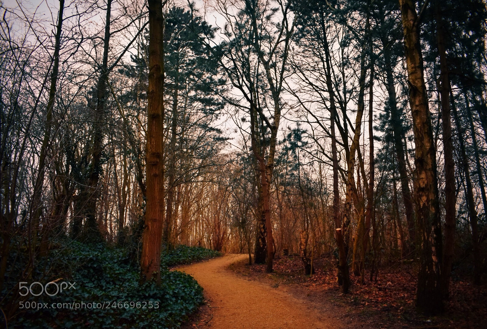 Nikon D3400 sample photo. Untitled photography