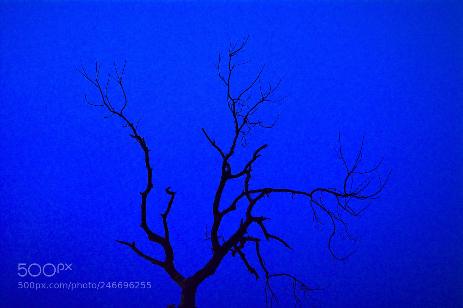 Nikon D7100 sample photo. Cold night photography