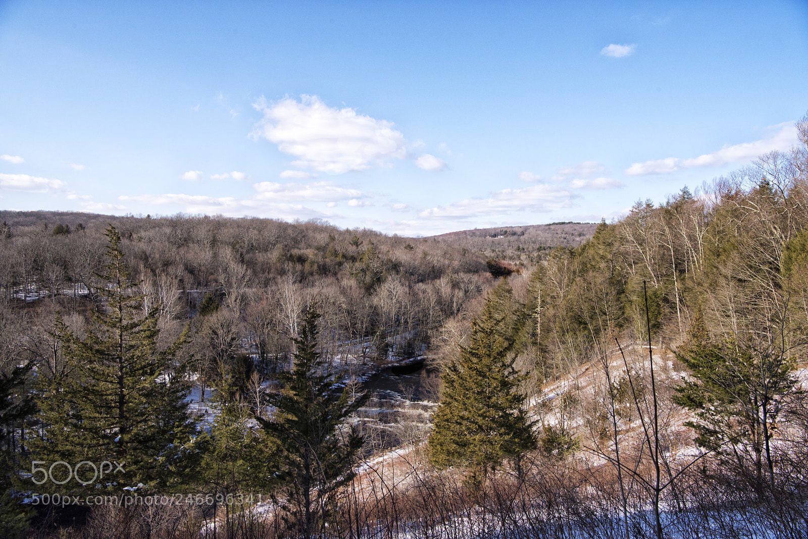 Nikon D810 sample photo. Salmon river trail photography