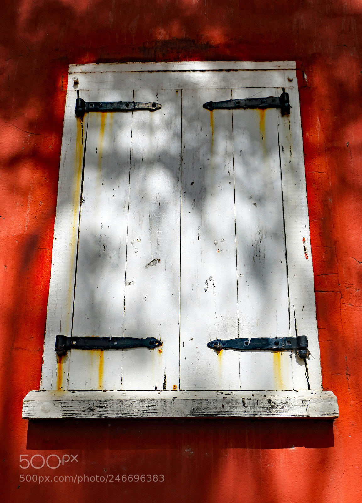 Canon EOS 7D Mark II sample photo. Red and white photography