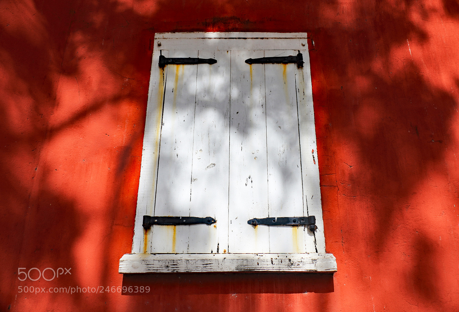 Canon EOS 7D Mark II sample photo. Red wall, white shutter photography