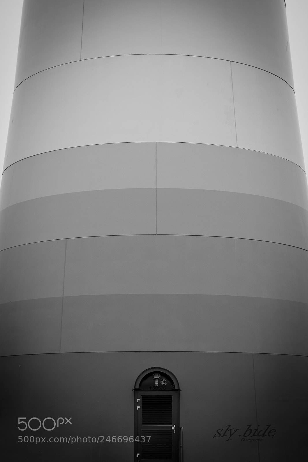 Nikon D7500 sample photo. Nik_0913-2.jpg photography