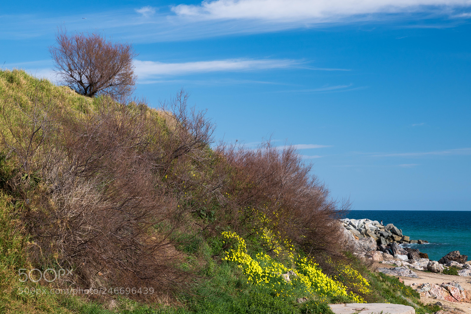 Pentax K-1 sample photo. Spring is coming photography