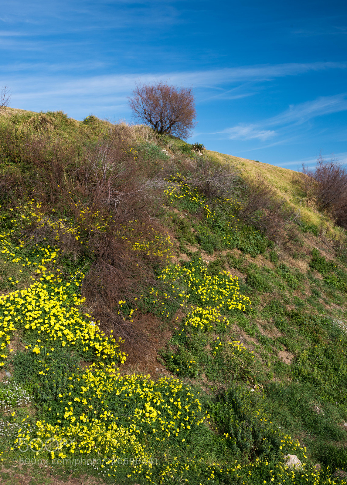 Pentax K-1 sample photo. Spring is coming photography