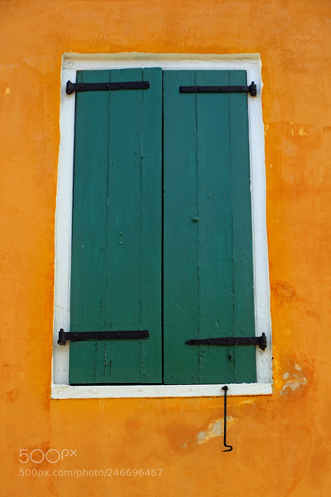 Canon EOS 7D Mark II sample photo. Green annd orange photography