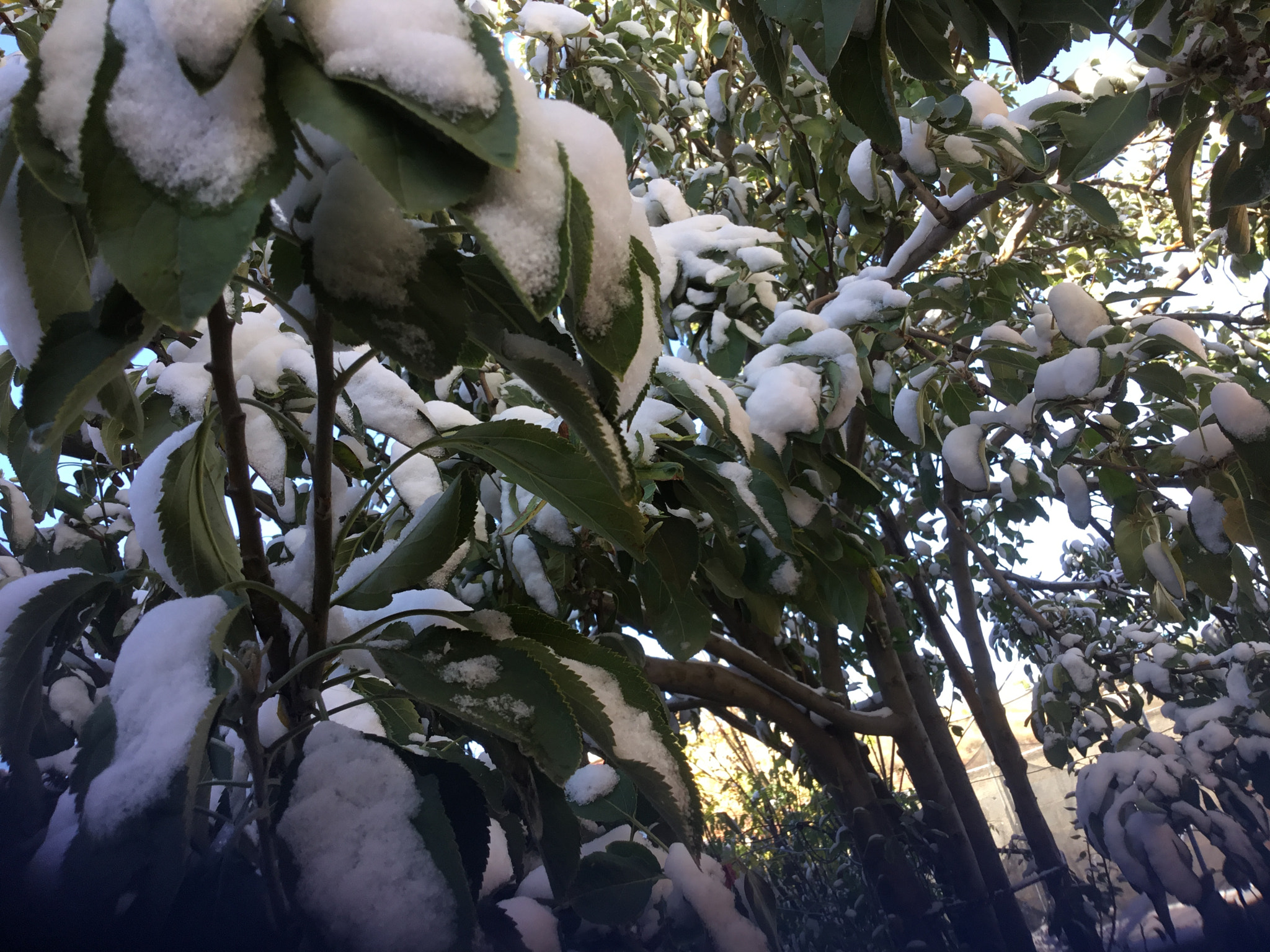 Apple iPad (5th generation) sample photo