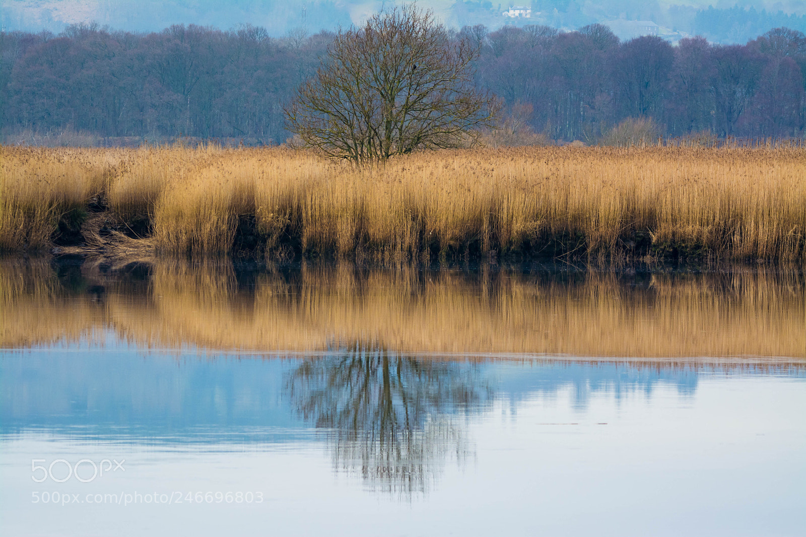 Nikon D5200 sample photo. River tay photography