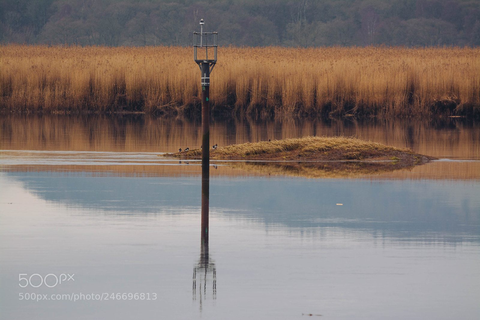 Nikon D5200 sample photo. River tay photography