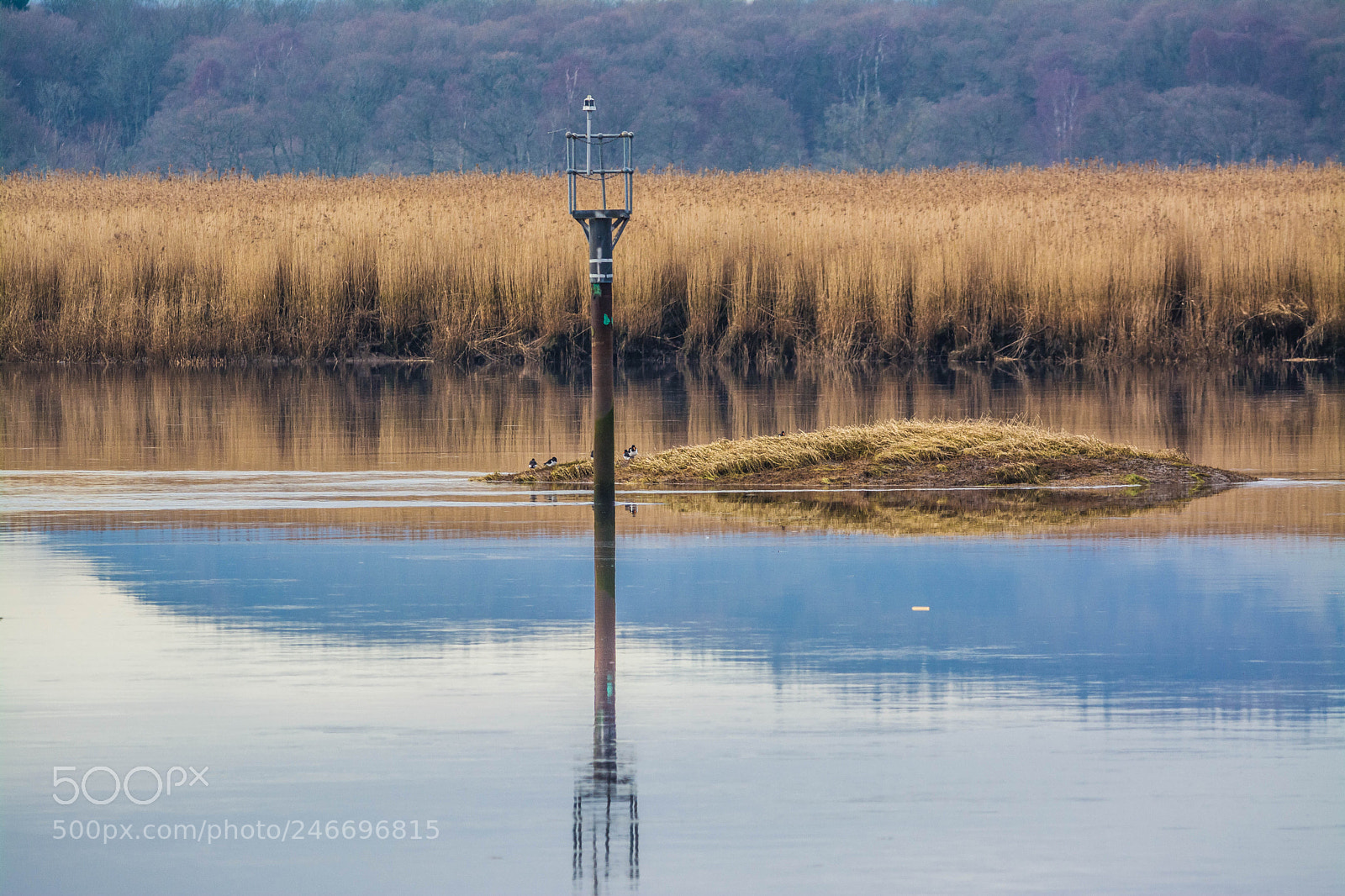 Nikon D5200 sample photo. River tay photography