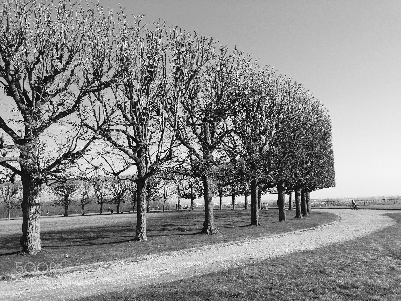 Apple iPhone 5 sample photo. Untitled photography
